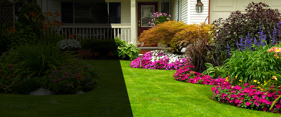 Alto Landscapers